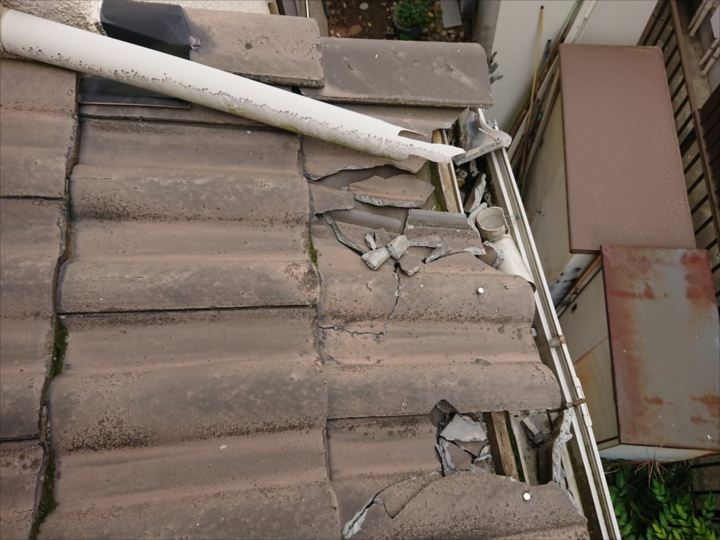 雨樋に落下物が溜まっている様子