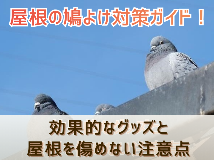 屋根の鳩よけ対策ガイド！効果的なグッズと屋根を傷めない注意点