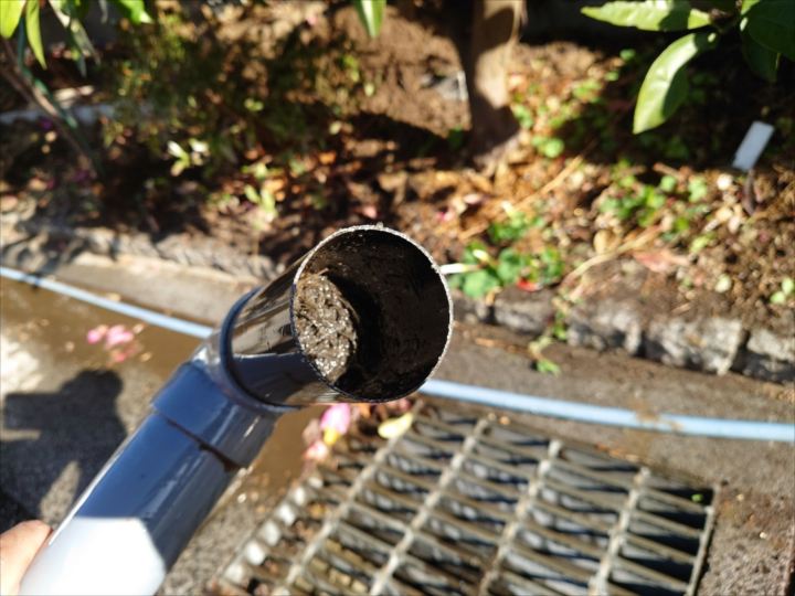 根っこが詰まっている雨樋