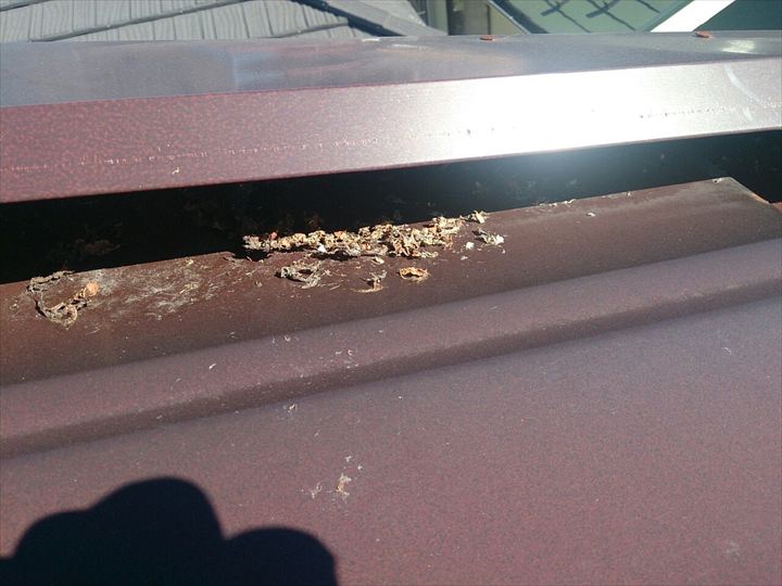 浮いたケラバ板金の隙間に鳥が入り込んでいた跡