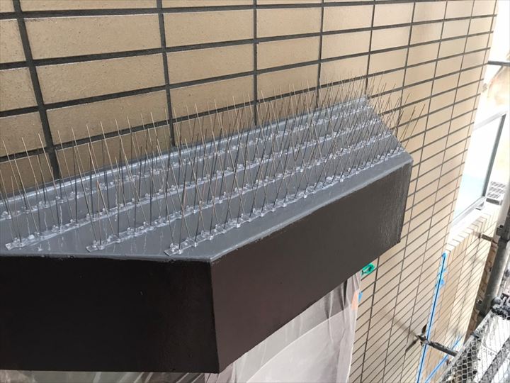 屋根の鳩よけにスパイク（鳩よけ剣山）