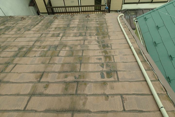 北面の屋根に塗膜の剥がれやコケ・藻が繁殖