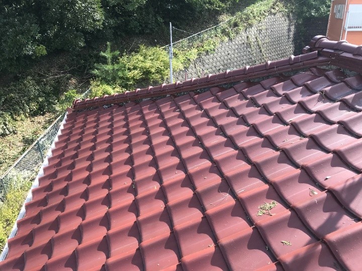 屋根全体と棟の状態