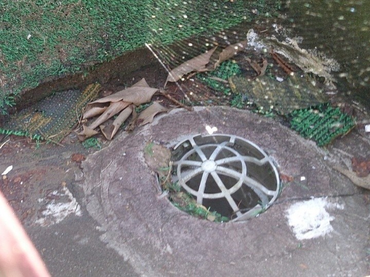 排水口周辺は水が滞留しやすい状況