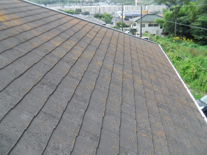 屋根材には苔（コケ）の繁殖