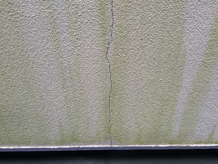 苔が繁殖した外壁