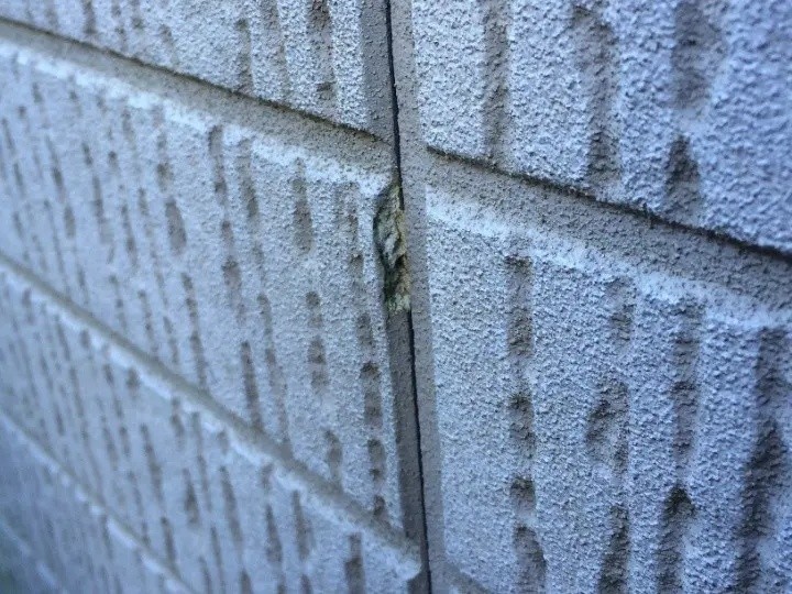 サイディング外壁の状態を確認