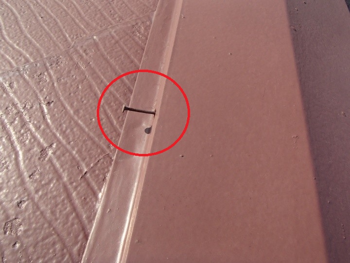 棟板金には釘の浮きや抜けを確認