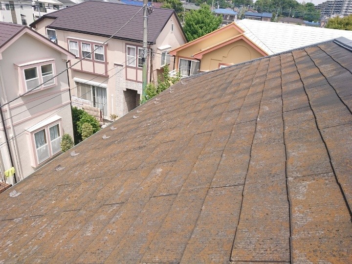 コケが広がる屋根全景