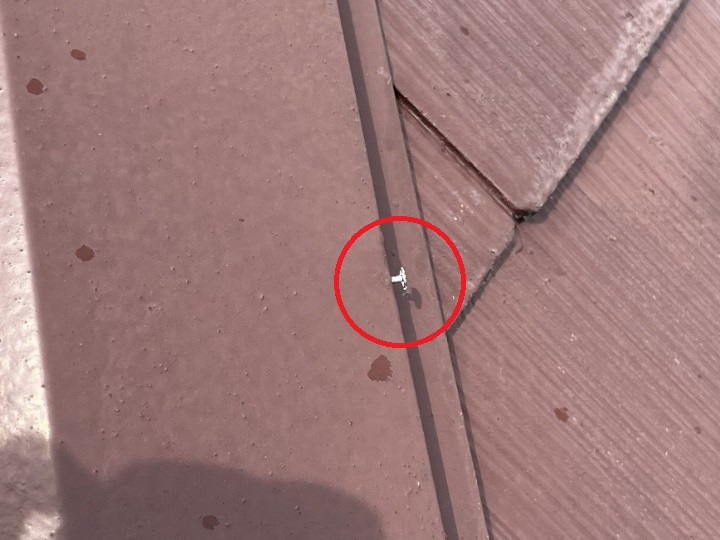 抜けかけた棟板金の釘