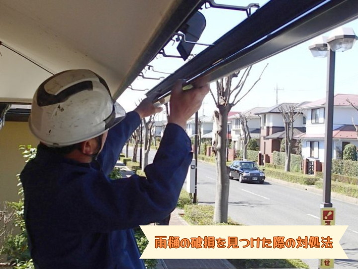 雨樋の破損を見つけた際の対処法