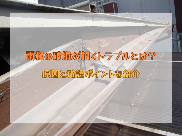 雨樋の破損が招くトラブルとは？原因と確認ポイントを紹介