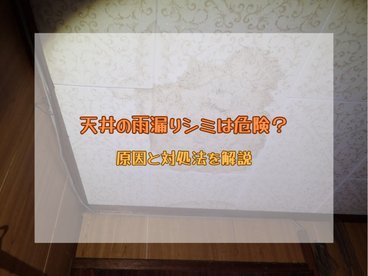 天井の雨漏りシミは危険？原因と対処法を解説