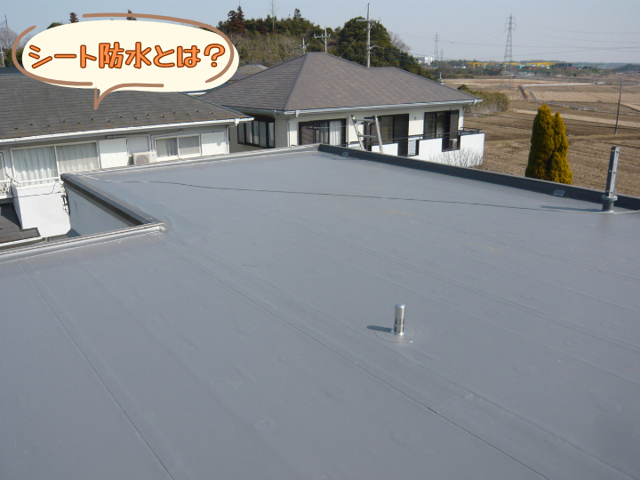 シート防水とは？