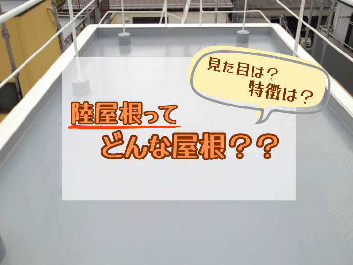 見た目や特徴は？