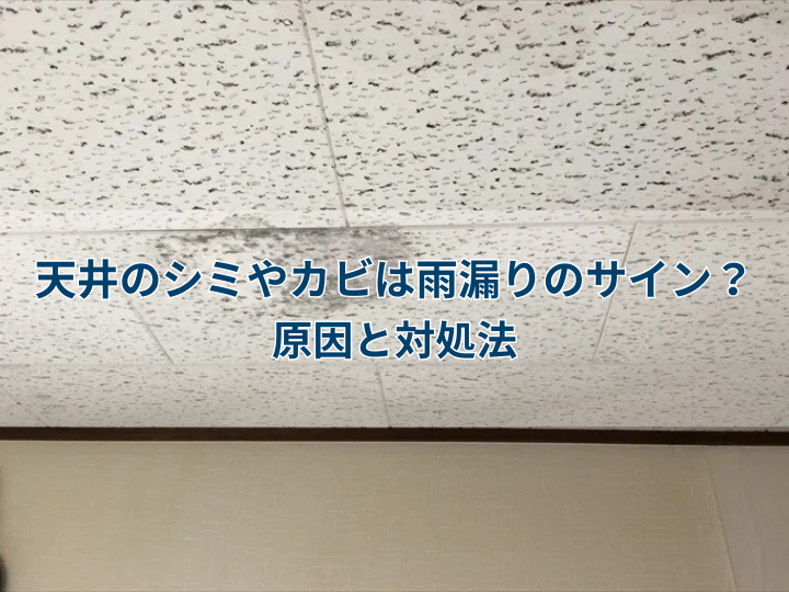 天井のシミやカビは雨漏りのサイン？原因と対処法