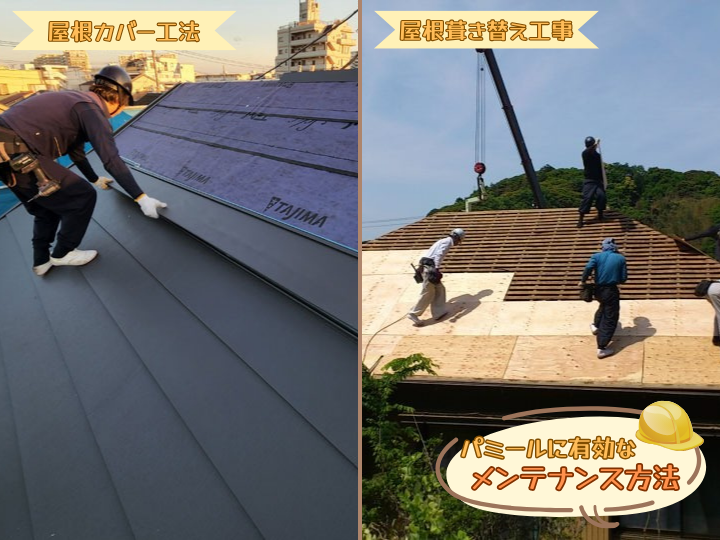 パミールに有効なメンテナンス