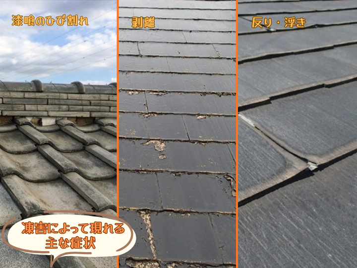  凍害によって現れる主な症状