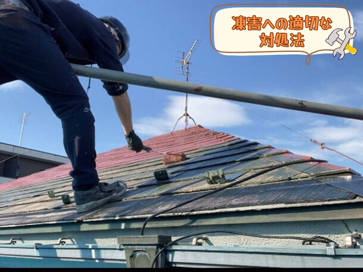 凍害への適切な対処法