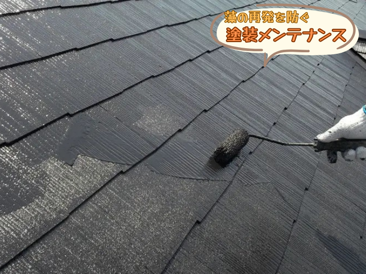 藻の再発を防ぐ塗装メンテナンス