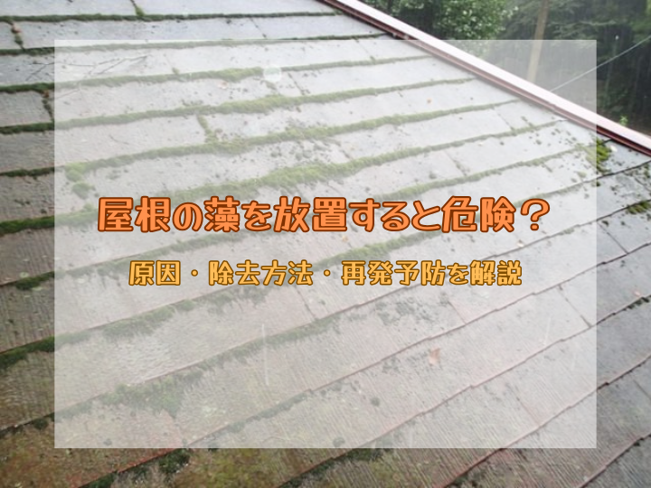 屋根の藻を放置すると危険？原因・除去方法・再発予防を解説