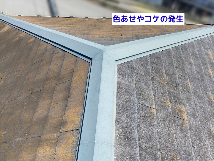 色あせやコケの発生