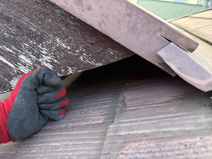 ハクビシンの被害から屋根を守る方法|相模原市の点検事例で解説