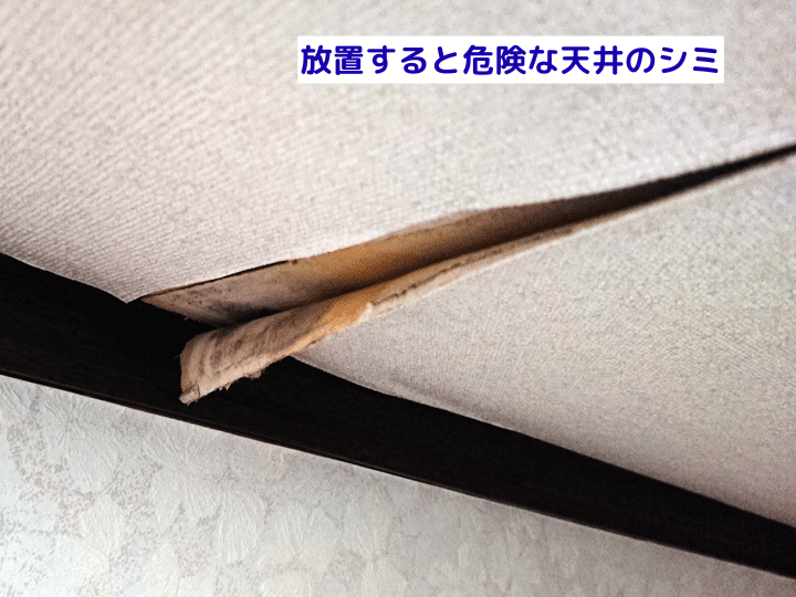 台風後の雨漏りは火災保険が使える？屋根や外壁の被害確認と正しい対処法を解説