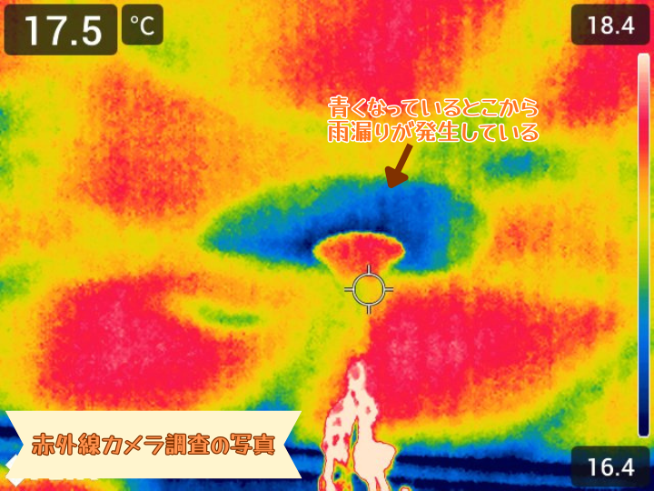 赤外線カメラでの調査の様子