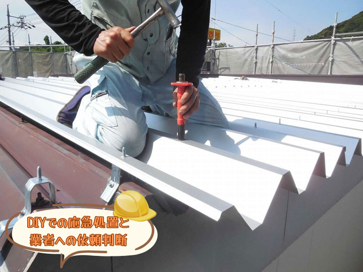 DIYでの応急処置と業者への依頼判断