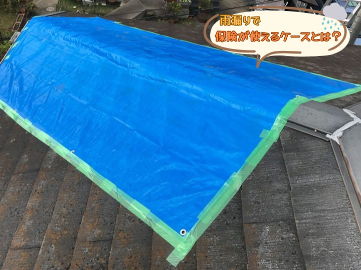 雨漏りで保険が使えるケース