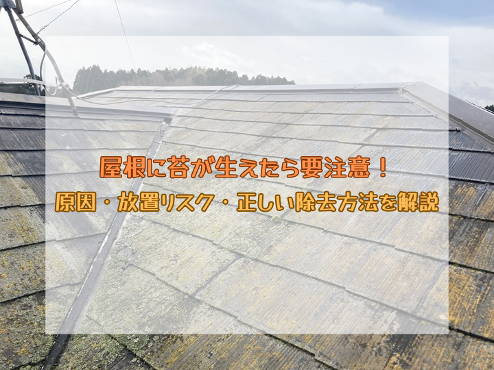屋根に苔が生えたら要注意！原因・放置リスク・正しい除去方法を解説