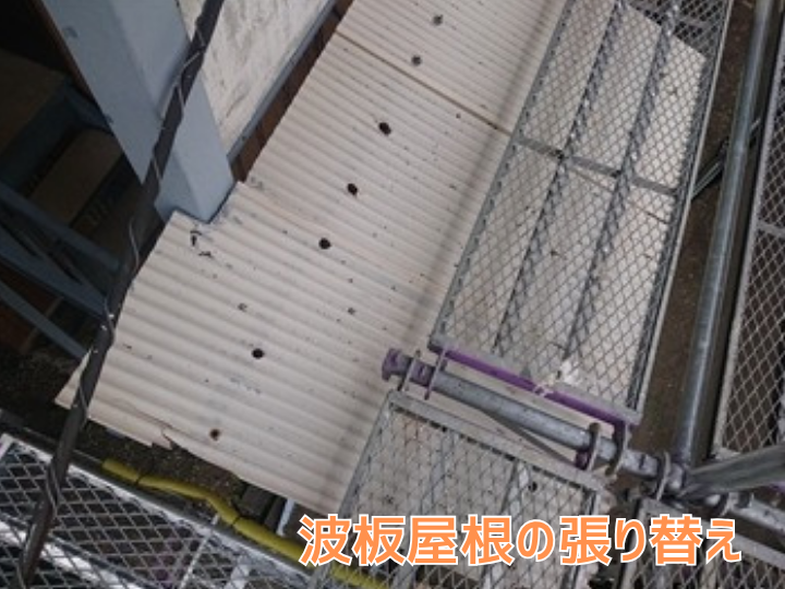 古い波板の撤去前