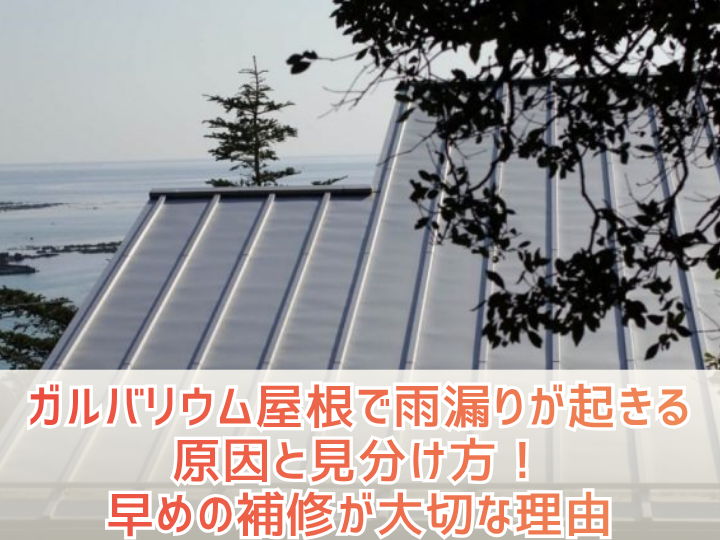 ガルバリウム屋根で雨漏りが起きる原因と見分け方、早めの補修が大切な理由