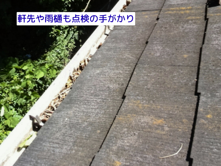 軒先や雨樋も点検の手がかり