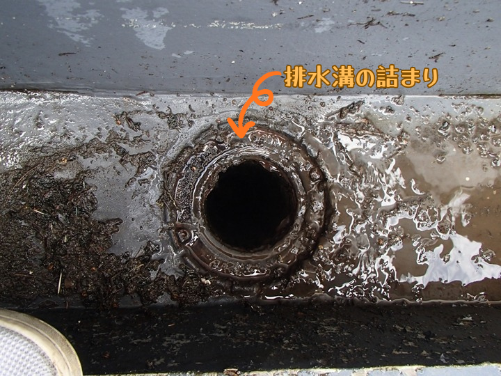 排水溝の詰まり