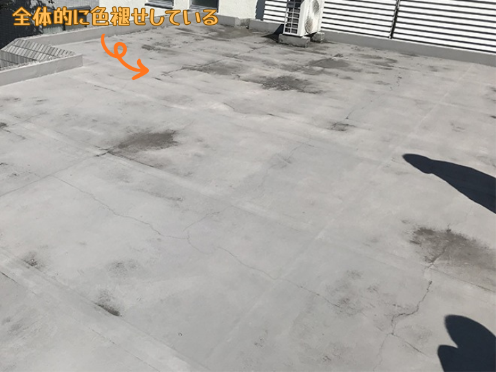 全体的に色褪せしている