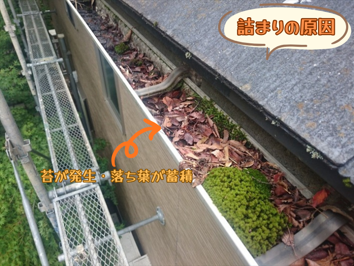 詰まりの原因