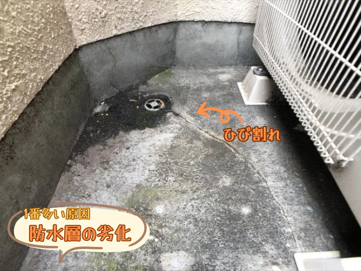 防水層の劣化