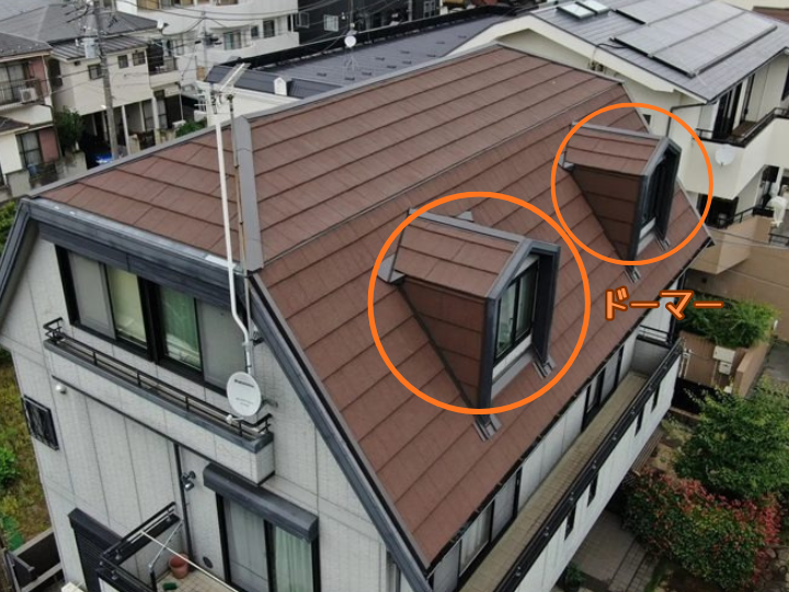 ドーマーの役割と位置